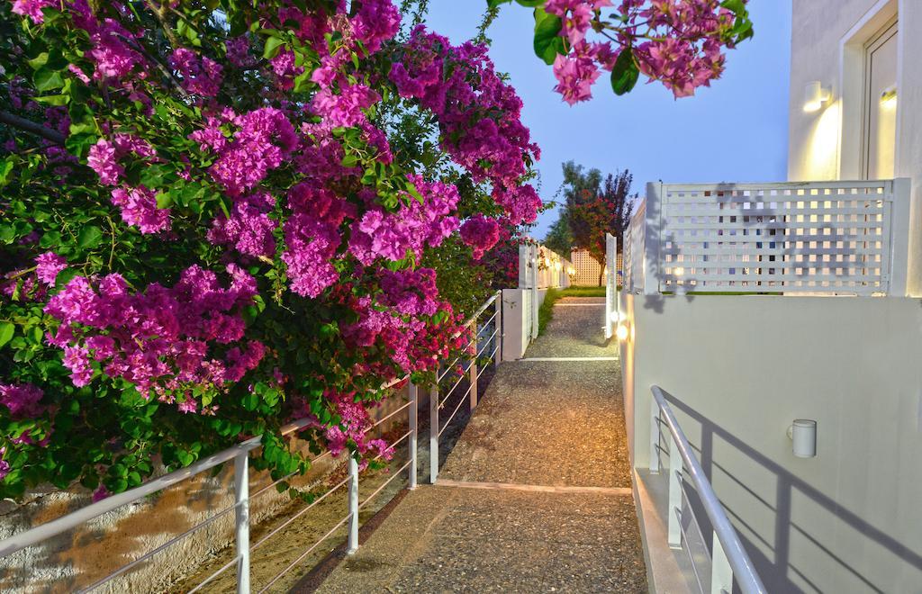 Oliv Apartments Platanes  Zimmer foto
